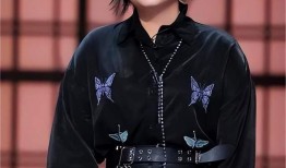 刘大锤最新爆料95花,95花背后的惊人真相